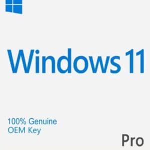 Windows 11 Pro OEM Key Online Activation Instant Email Delivery
